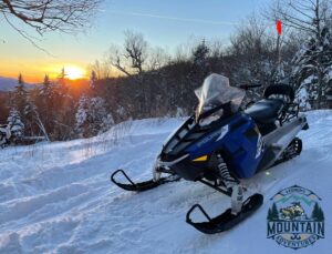 Riderless Snowmobile