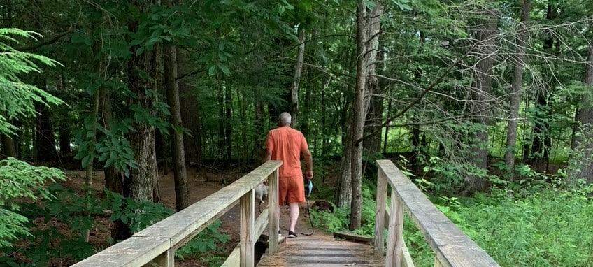 Walking thru forest after passing over a wooden bridge