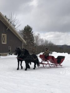 Horse pulled red sled