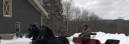 Horse pulled red sled