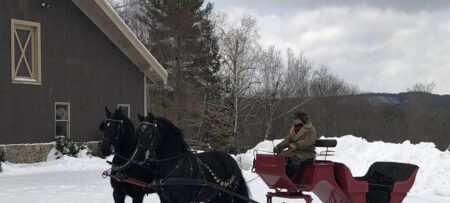 Horse pulled red sled