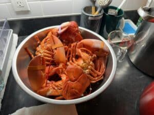 Lobsters ready for serving