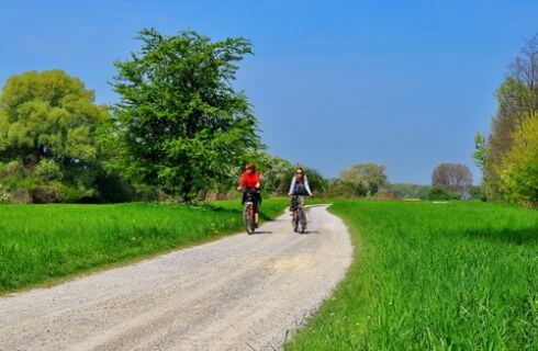 A couple ride bikes down a dirt path in a green meadow with trees.