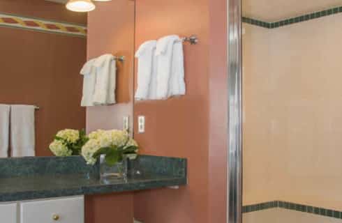 Bathroom with a white vanity, dark peach walls and a separate shower enclosure.